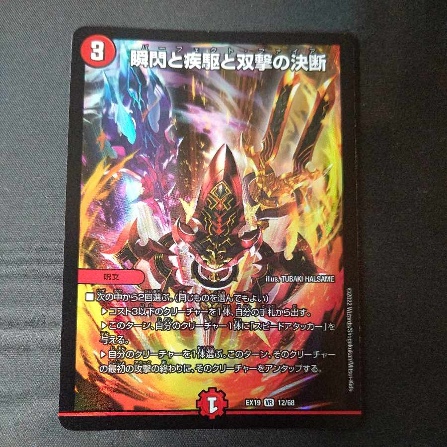 瞬閃と疾駆と双撃の決断 VR 12/68