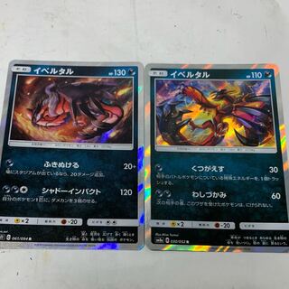 イベルタルR2種類セット 1枚