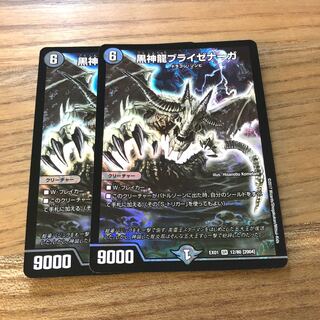 黒神龍ブライゼナーガ2枚