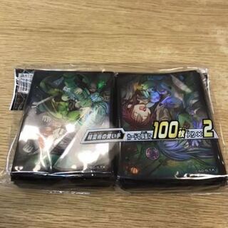 精霊術の使い手　スリーブ