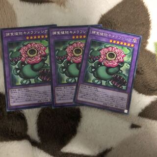 遊戯王　捕食植物キメラフレシアセット