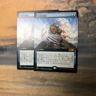 2枚セット 真実の視認 拡張