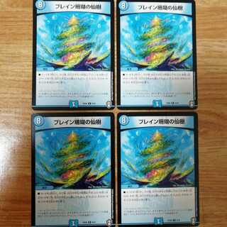 ブレイン珊瑚の仙樹　4枚