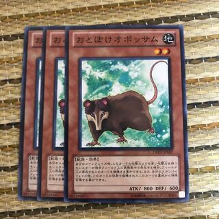 マドレース おとぼけオポッサム N