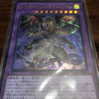 捕食植物トリフィオヴェルトゥム UR