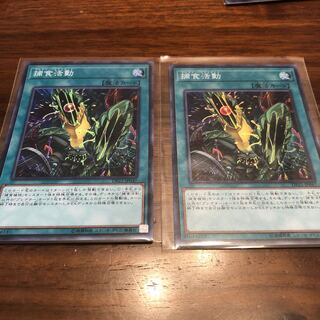 捕食活動 SR セット