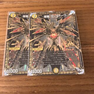 煌龍 サッヴァーク　シク3 2枚