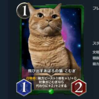 2枚セット　飛び出すあぽろの猫 こむぎ　クリスペ