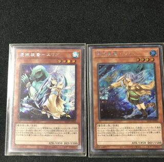 憑依装着-エリア 旧シク 新シク セット