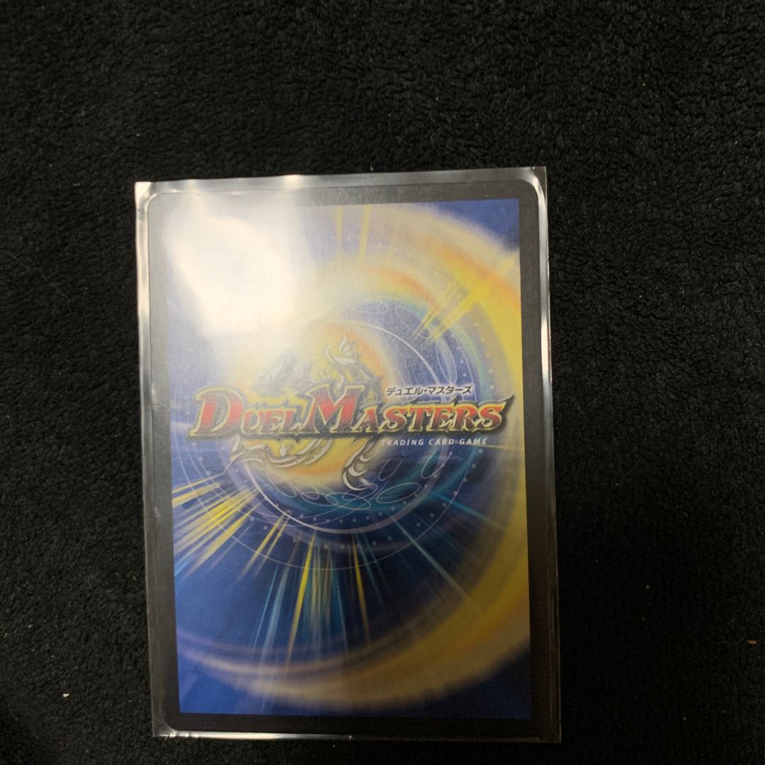 「絶対の楯騎士」　