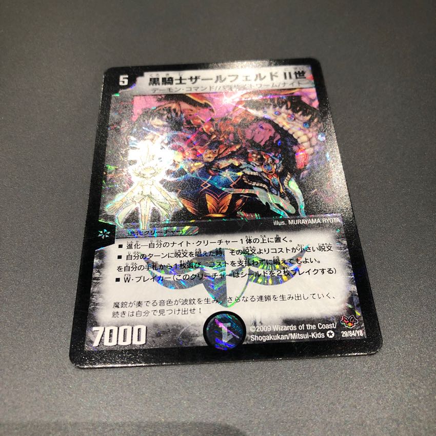 ザールフェルド二世 1枚