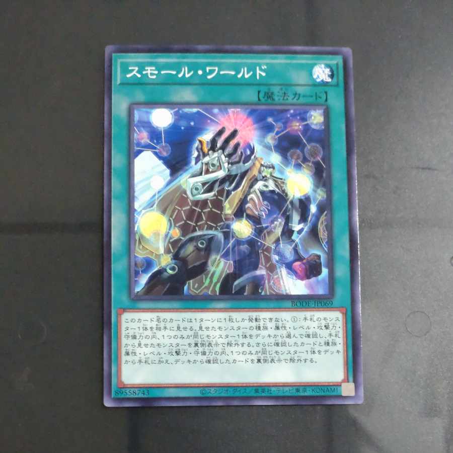Small World Normal rare JP069 [Korindo