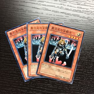 異次元の女戦士