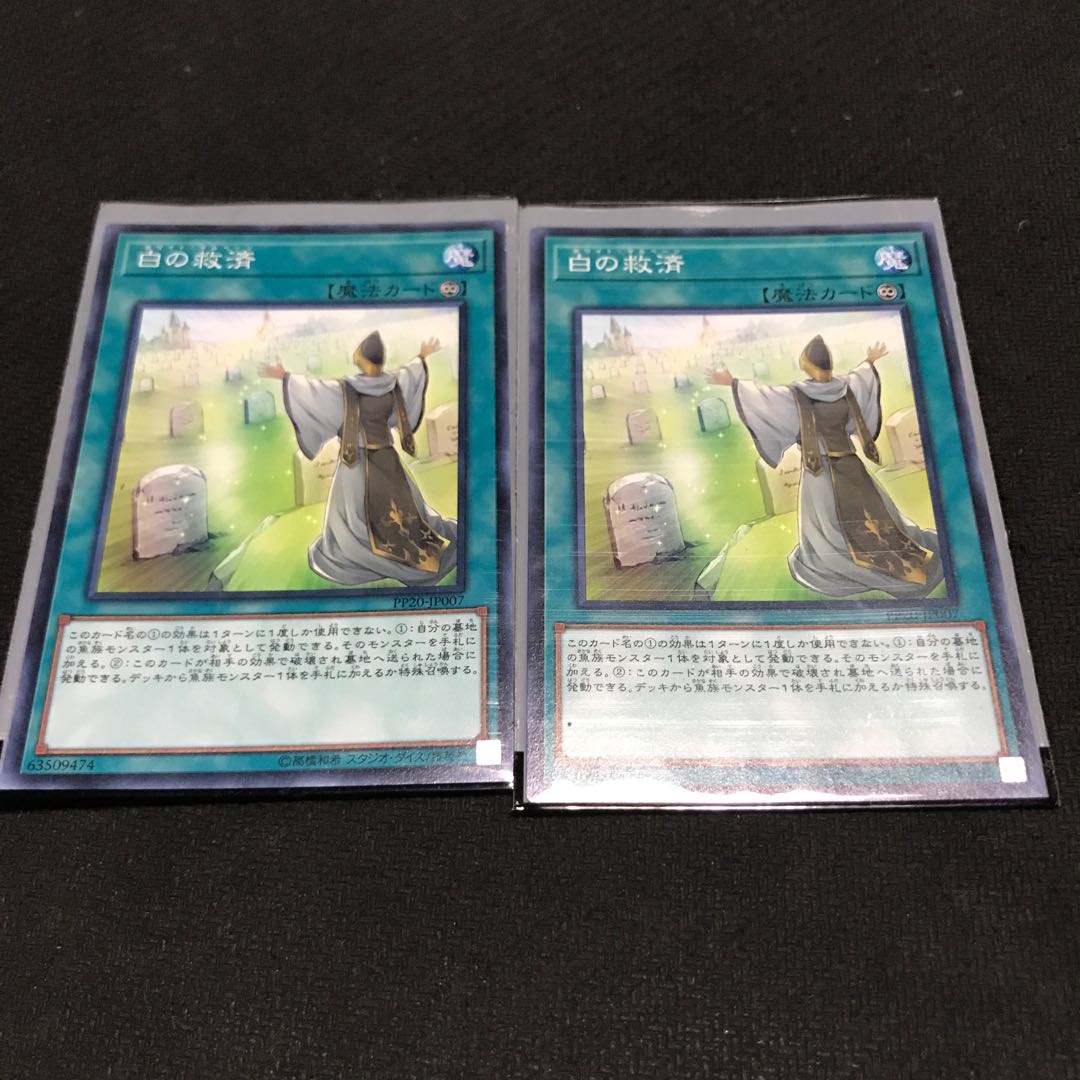 Whitefish Salvage Normal JP007