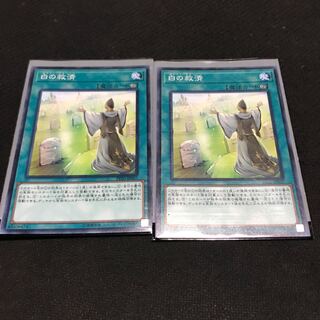 Whitefish Salvage Normal JP007