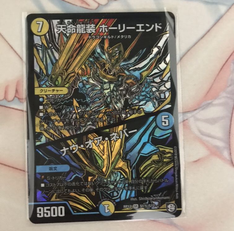 天命龍装 ホーリーエンド/ナウ・オア・ネバー  シク