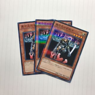 異次元の女戦士