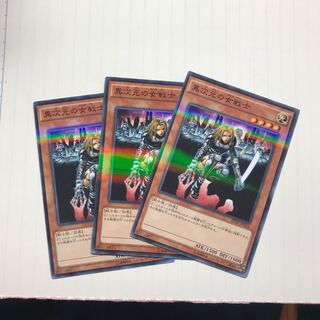 異次元の女戦士