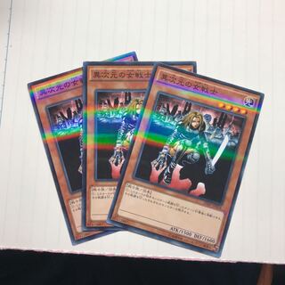 異次元の女戦士