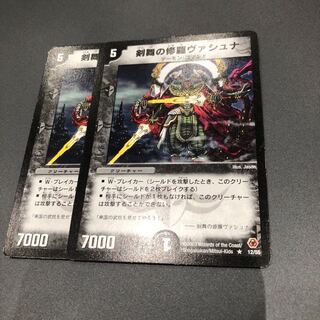 ヴァシュナ2枚セット