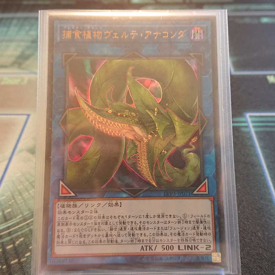 捕食植物ヴェルテ・アナコンダ UR