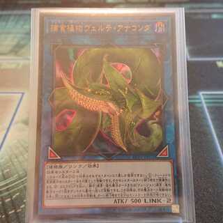 捕食植物ヴェルテ・アナコンダ UR