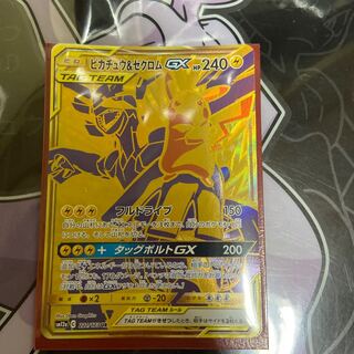 ピカチュウ&ゼクロム