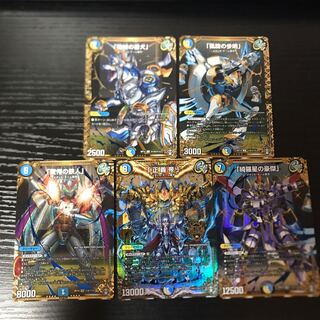 正義帝 シク セット