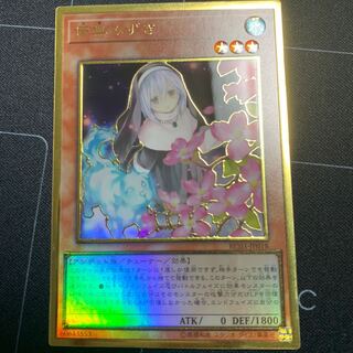 儚無みずき(海外版イラスト) PGR