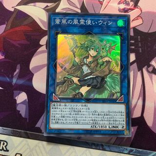 蒼翠の風霊使いウィン