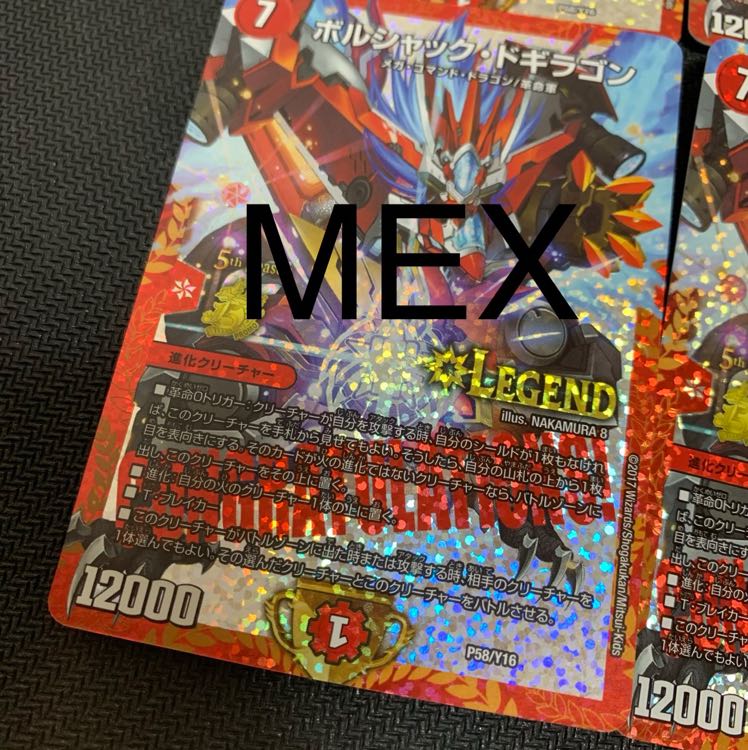 商品確認用 ボルドギプロモ 1枚