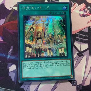 精霊術の使い手