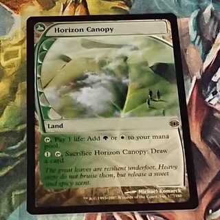 【MTG】地平線の梢(英) 未来予知版