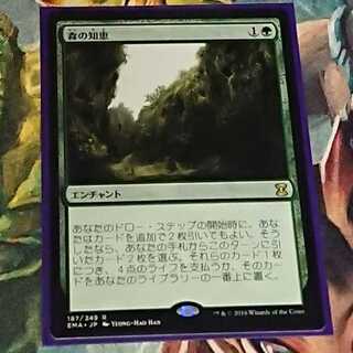 【MTG】森の知恵（日）エタマス版