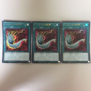 ハーピィの羽根帚 ウルトラ 2