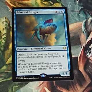 【MTG】天上の餌あさり　英語版