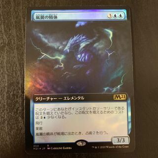 ドス様_嵐翼の精体 拡張アート foil