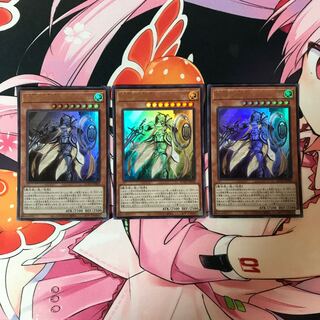 教導の騎士フルルドリス UR