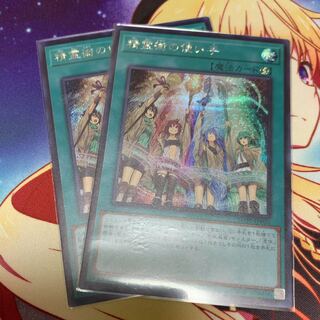 No.567_精霊術の使い手