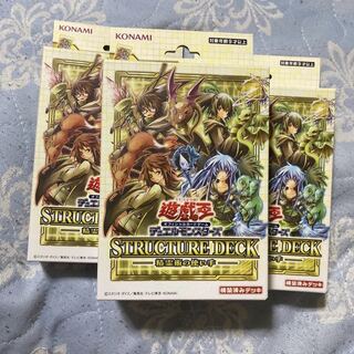 遊戯王　精霊術の使い手　ストラク　ストラクチャーデッキ