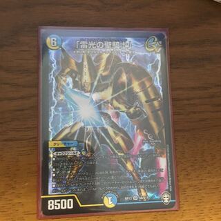 「雷光の聖騎士」