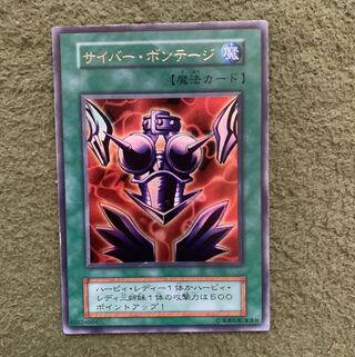 サイバー・ボンテージ UR