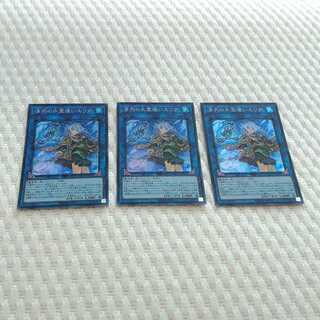 清冽の水霊使いエリア