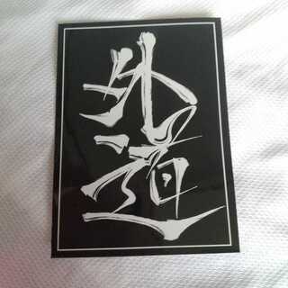 うめちゃん様専用ライオネル