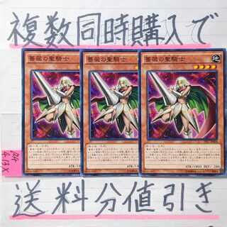 薔薇の聖騎士　ノーマル×3枚　遊戯王②