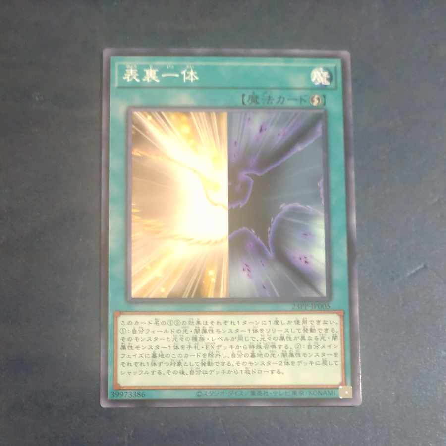 表裏一体 ノーマル 23PP-JP005 【木林堂】