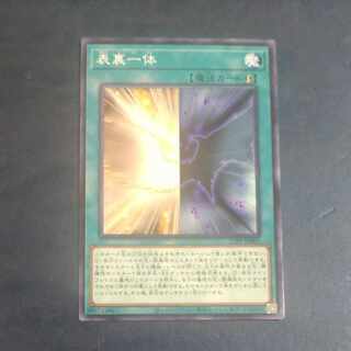 表裏一体 ノーマル 23PP-JP005　【木林堂】