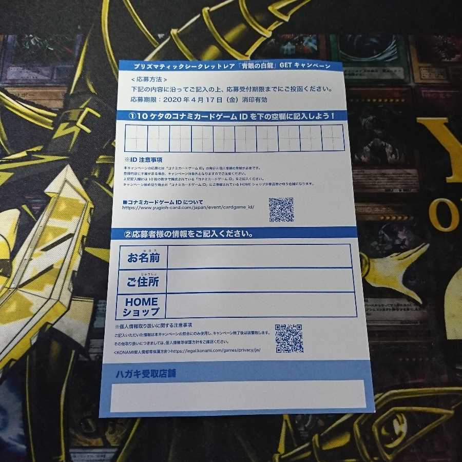遊戯王 青眼の白龍 応募ハガキ 1枚
