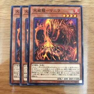 マドレース 天威龍-マニラ N