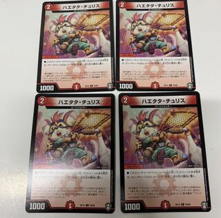 ハエタタ・チュリス4枚セット